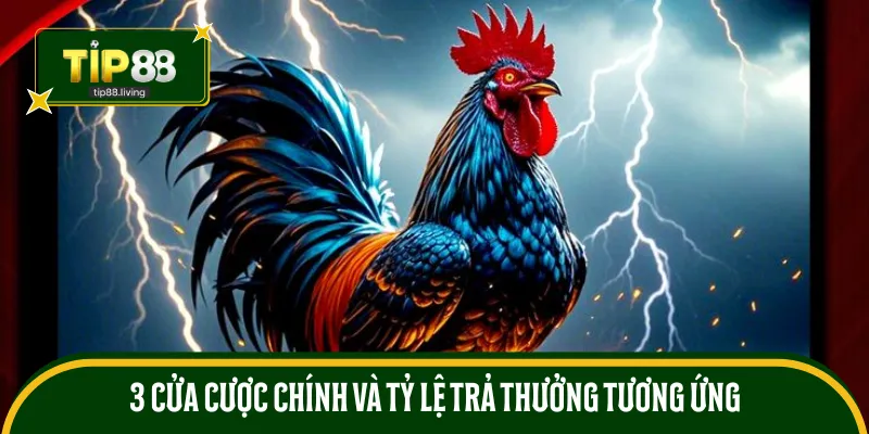 3 cửa cược chính và tỷ lệ trả thưởng tương ứng