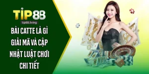 bài catte là gì