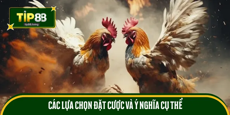 Các lựa chọn đặt cược và ý nghĩa cụ thể