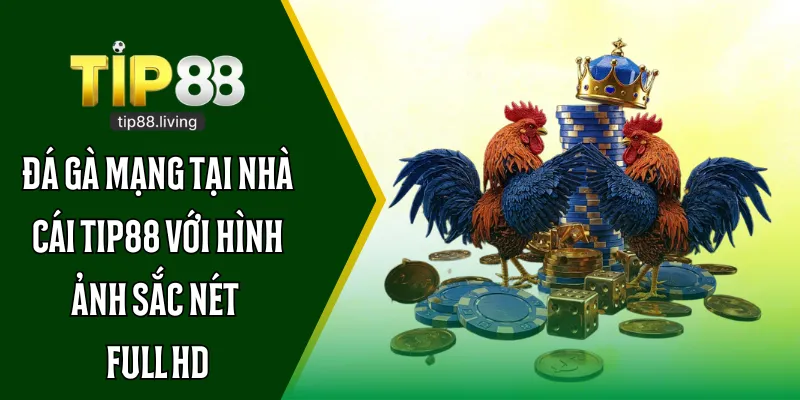 Đá gà mạng tại nhà cái TIP88