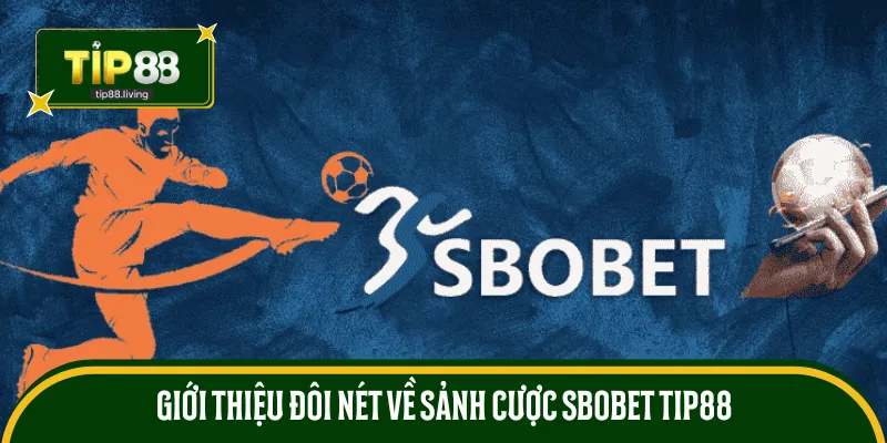 Giới thiệu đôi nét về sảnh cược SBOBET TIP88