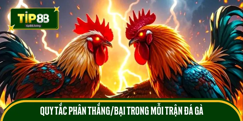 Quy tắc phân thắng/bại trong mỗi trận đá gà