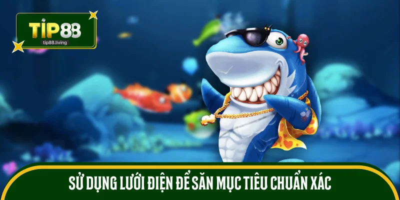 Sử dụng lưới điện để săn mục tiêu chuẩn xác